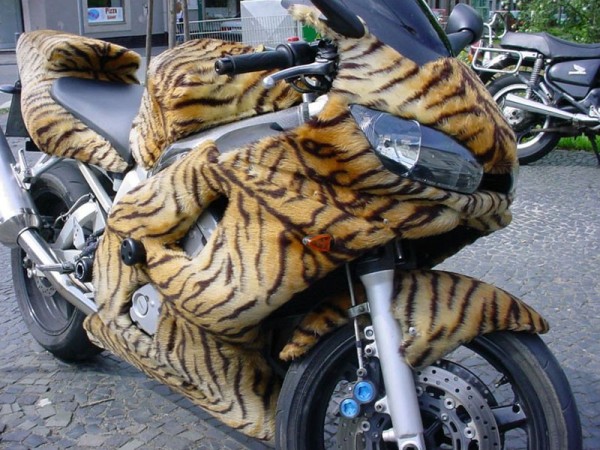 Trop fan de tigres