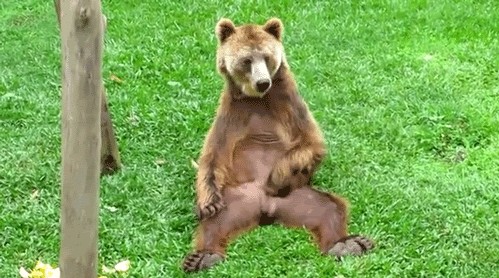 Clique pour animer le gif