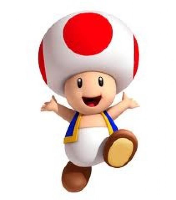 toad