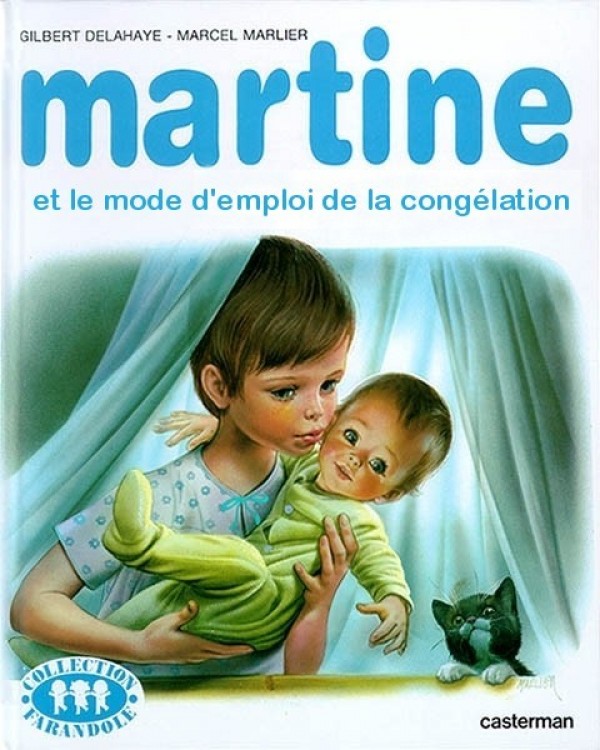 Martine et le mode d'emploi de la congélation