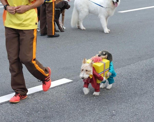 Double chien porteur de cadeaux