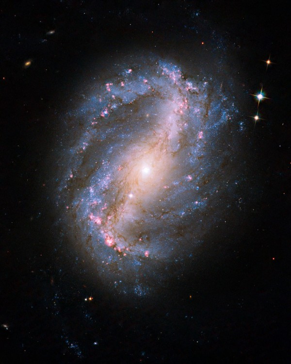 Barred Spiral Galaxy NGC 6217