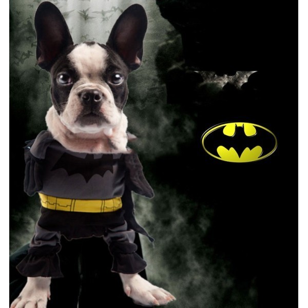 batdog