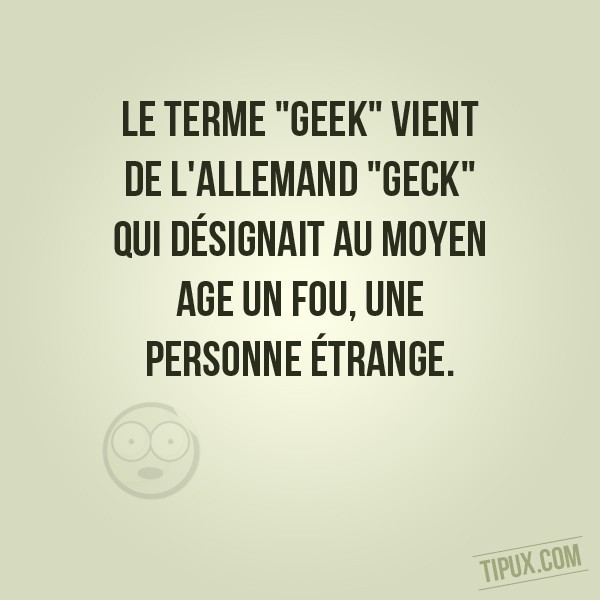 Le terme geek vient de l'allemand geck qui désignait au Moyen Age un fou, une personne étrange.