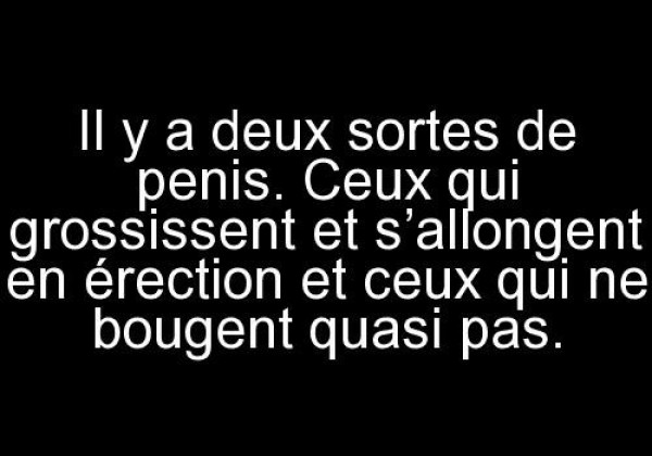 Il y a deux sortes de penis