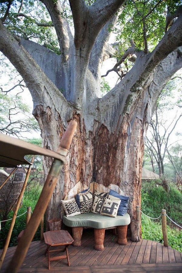 Dans un alcôve parfaitement intégrée à un arbre