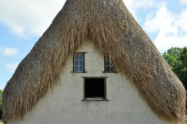 La maison chevelue