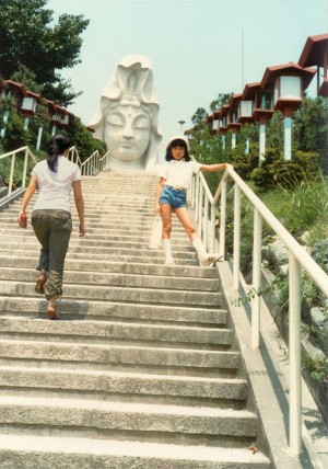 Voter pour 1981 et 2006, Japon