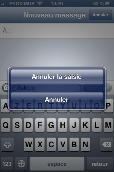 Annuler la saisie (texte)