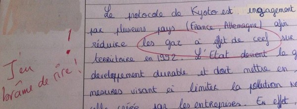 Gaz à effet de cerf