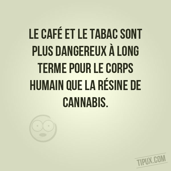 Le café et le tabac sont plus dangereux pour le corps que la résine de cannabis