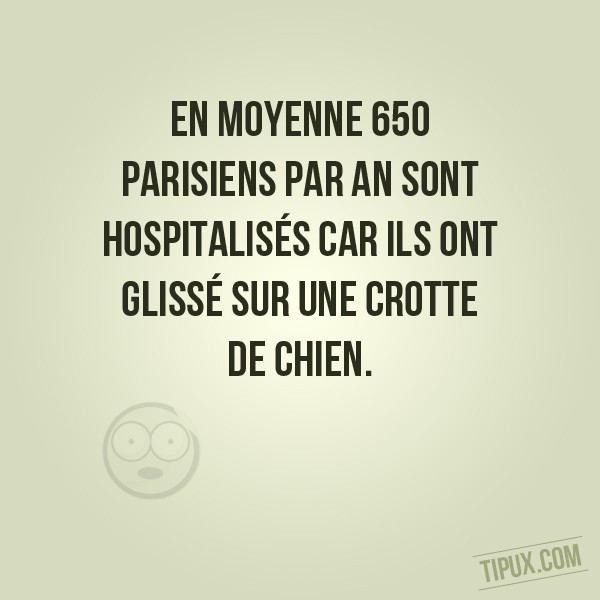 En moyenne 650 parisiens par an sont hospitalisés car ils ont glissé sur une crotte de chien.