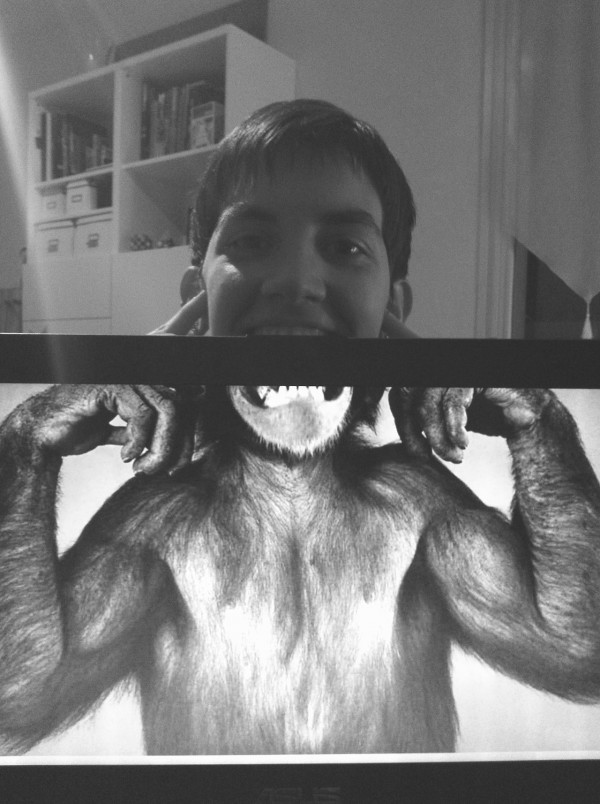 Le singe