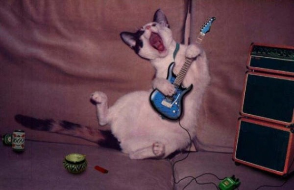 Chat rockstar