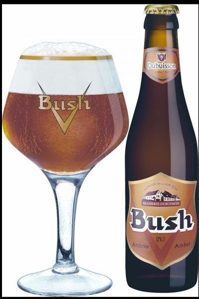 Bush ambrée