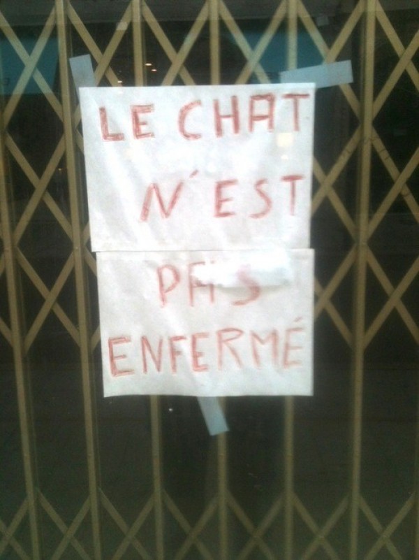 Chat pas enfermé