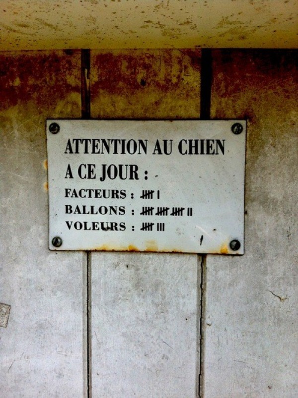 Attention au chien