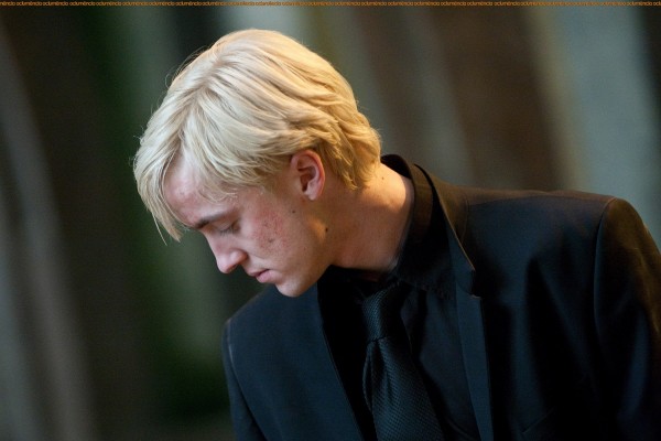 tom felton