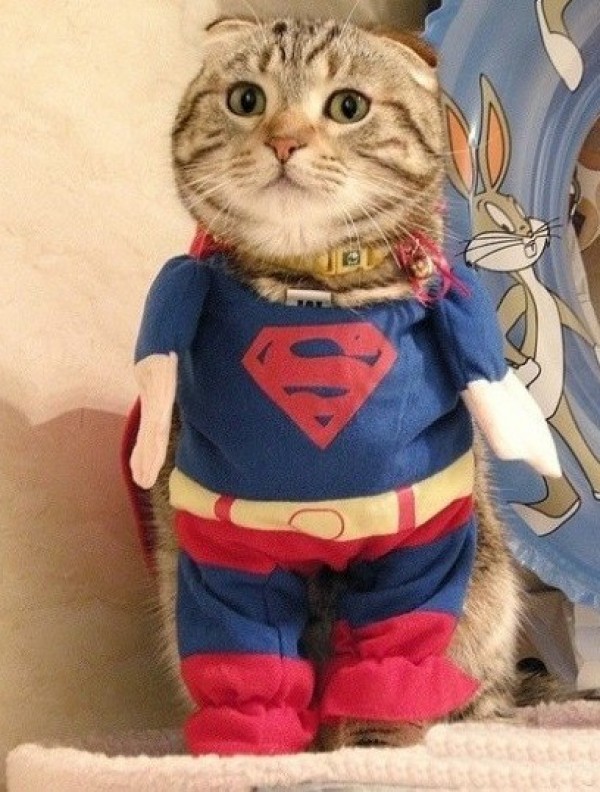 supercat