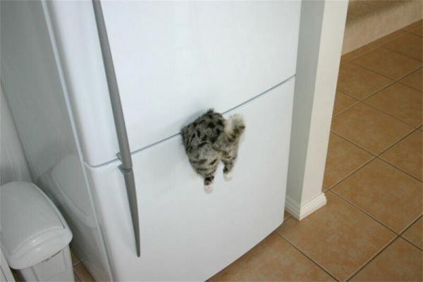 Magnet pour Frigo