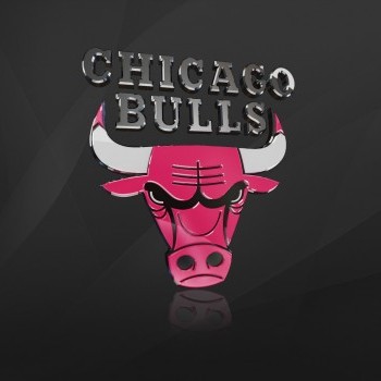Voter pour Chicago Bulls