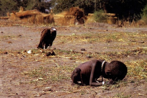 Un charognard surveille une petite fille soufrant de la famine, le photographe ayant reçu le (...)