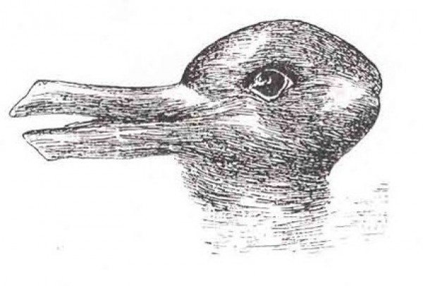 Lapin ou Canard