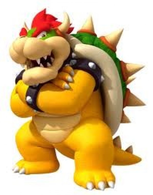 bowser1