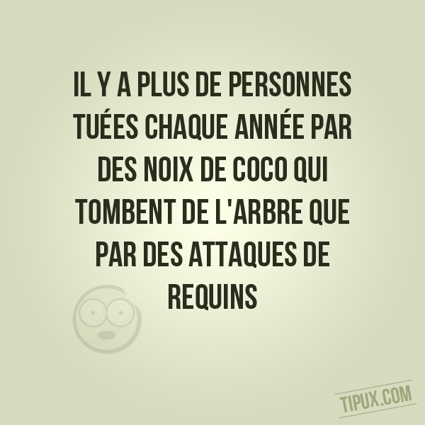 Il y a plus de personnes tuées chaque année par des noix de coco qui tombent de l'arbre que  (...)