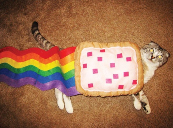 Nyan Cat