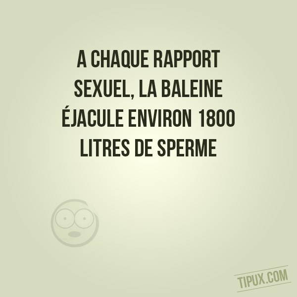 A chaque rapport sexuel, la baleine éjacule environ 1800 litres de sperme.