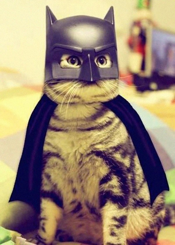 Chat Batman