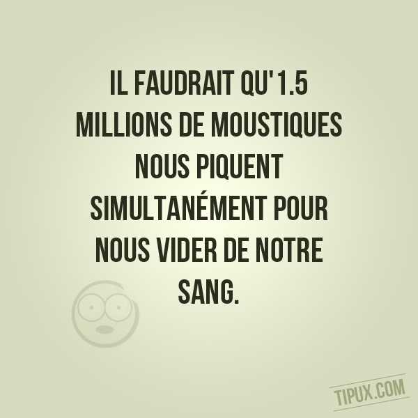 Il faudrait qu'1.5 millions de moustiques nous piquent simultanément pour nous vider de notre (...)