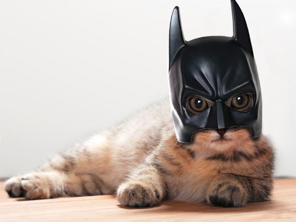 casque batman