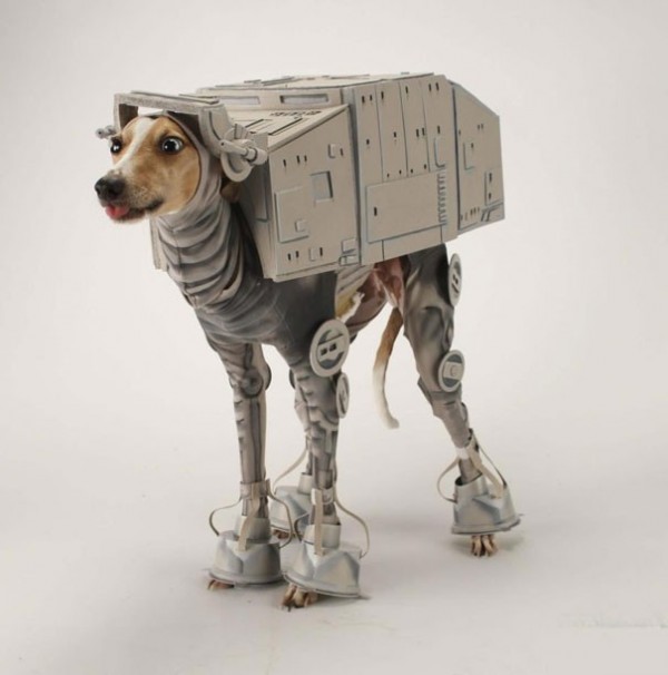 Chien Star Wars