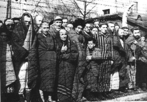 Auschwitz