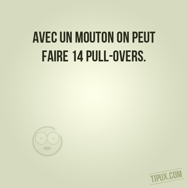 Avec un mouton on peut faire 14 pull-overs.