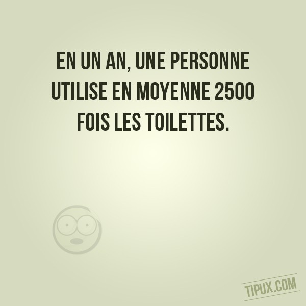 En un an, une personne utilise en moyenne 2500 fois les toilettes.