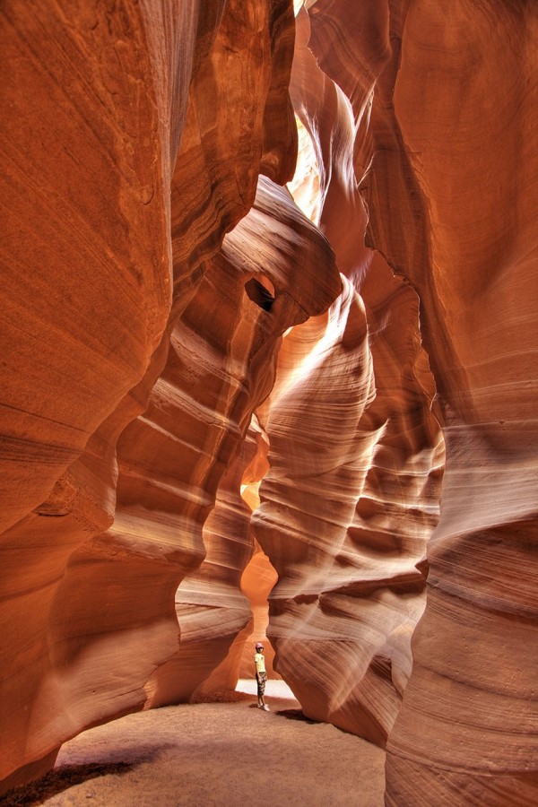 USA - Canyon Antelope