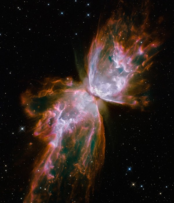 Butterfly emerges from stellar demise in planetary nebula NGC 6302