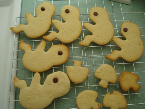 Cookies foetus