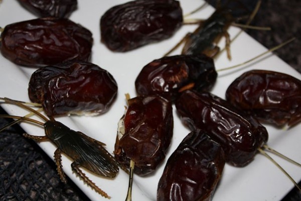 Dates farcies au fromage et noix (pour le croquant)