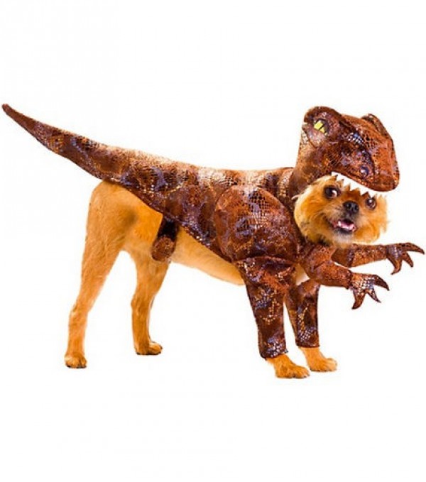 tyrannosaure