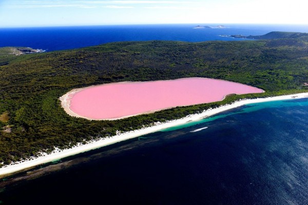 Australie - Lac Hillier